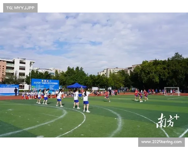 校园手球比赛规模扩大，省级赛事覆盖小学至高中学段